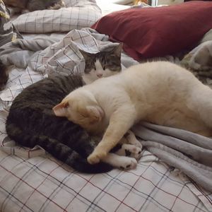 Meet your Posher, Lyn